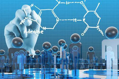 嘉燕化学（嘉应）有限公司